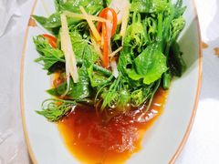 白灼丝瓜尖-雲蜀龙阁·金牌水煮鱼(方庄店)