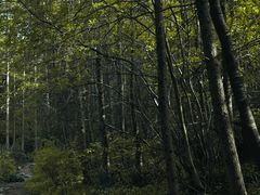 -秦岭风景区