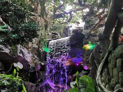 -多彩贵州城极地海洋世界