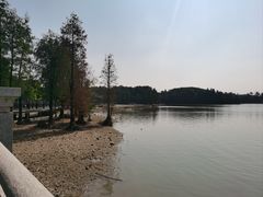 -海珠湖公园