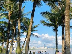 -深圳湾公园(南山区)