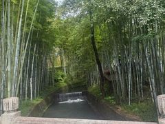 -广东温泉宾馆