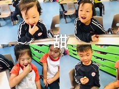 -贝乐多幼儿园(中北校区)