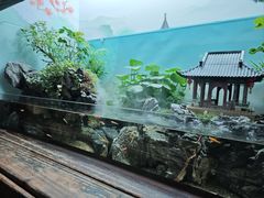 -南京海底世界