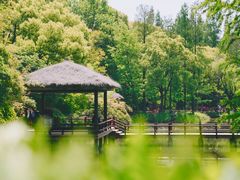 -上海滨江森林公园