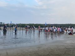 -北海金海湾红树林生态旅游区