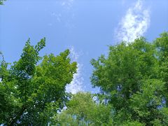 -莫子山公园
