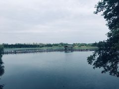 -溱湖国家湿地公园