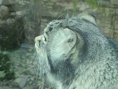 -青藏高原野生动物园