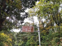 -梧桐山风景名胜区