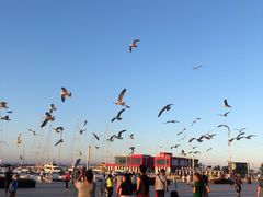 -东港音乐喷泉广场