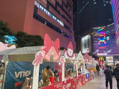 -VT101维多利广场