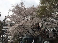 -南浦大桥长途旅游客运站