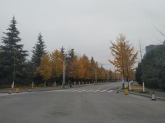 -西安外国语大学(长安校区)
