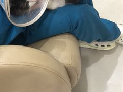 -安安宠医·臻爱宠物医院·宠保定点(营门口路分院)
