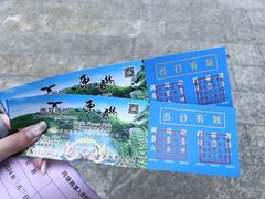 -西双版纳原始森林公园