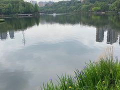 -重庆彩云湖湿地公园