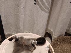 -美联众合24小时·皮肤科·外科·全科诊疗中心(华苑分院)