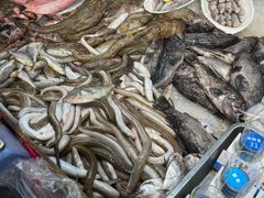 -和源祥·日照菜扛把子(万平口一店)