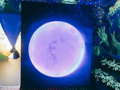 -天津梵高星空艺术馆(天河城旗舰店)