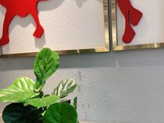 -八合里牛肉火锅(深圳光明大仟里二店)