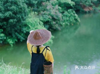 有杨梅和西瓜才算完整的夏天