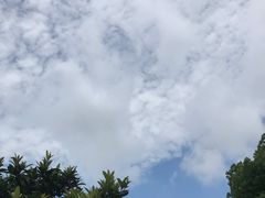 -雨花胜境