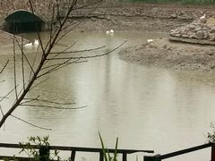-田园东方蜜桃村的田野营地