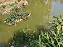 -人民公园(罗湖区)