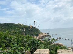 -东澳岛