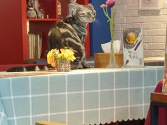 -花与咖啡馆(金星楼店)