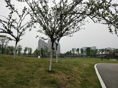 -府河摄影公园