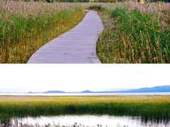 -野鸭湖国家湿地公园