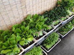 -聚缘堂·海鲜私房菜(松岭路店)