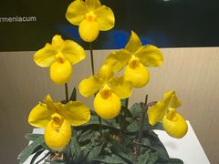 -北京植物园-展览温室