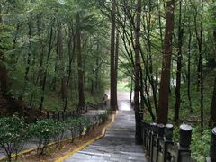 -洛阳白云山景区