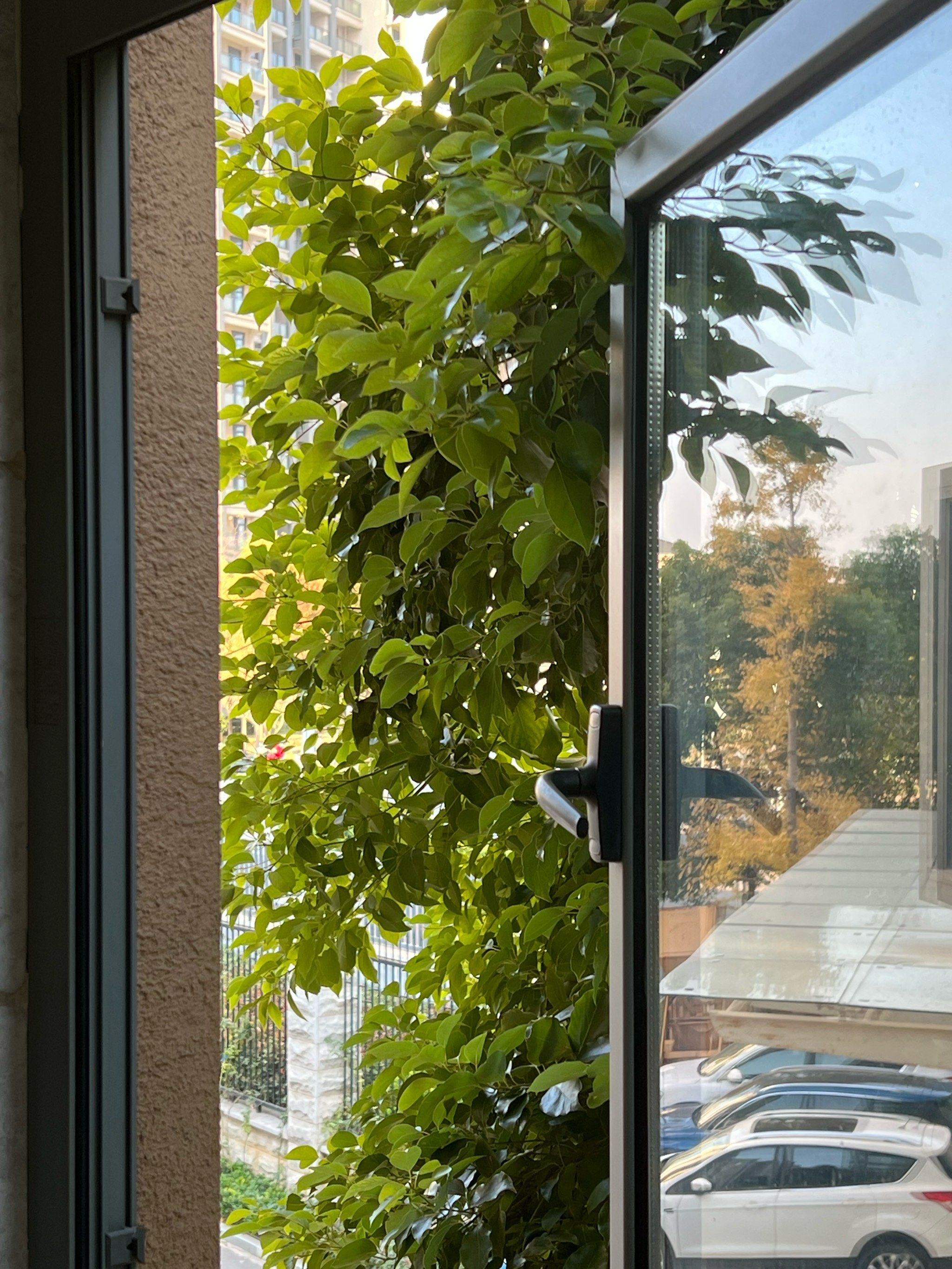 我望向窗外那片熟悉的大学校园,心中涌起一股温暖的感觉