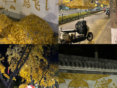 -赭山公园
