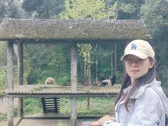 -中国大熊猫保护研究中心雅安碧峰峡基地