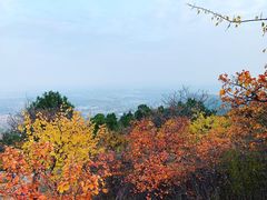 -北京西山国家森林公园