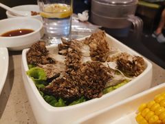 舞茸菌-海底捞火锅(银泰中心店)