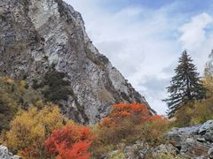 -叠溪松坪沟景区