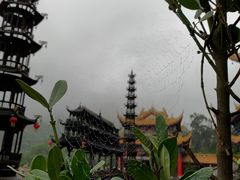 -东莞市大岭山森林公园