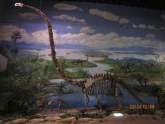 -自贡恐龙博物馆