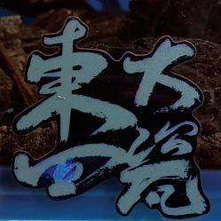 -MDZ STORE·TATTOO·耳饰