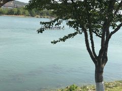 -羊山湖公园