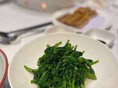 高山豆苗-南麓·浙里(外滩店)