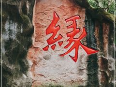 -杭州黄龙洞
