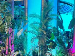 -温莎KTV(珠江路店)