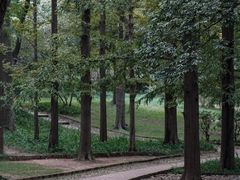 -八大关景区